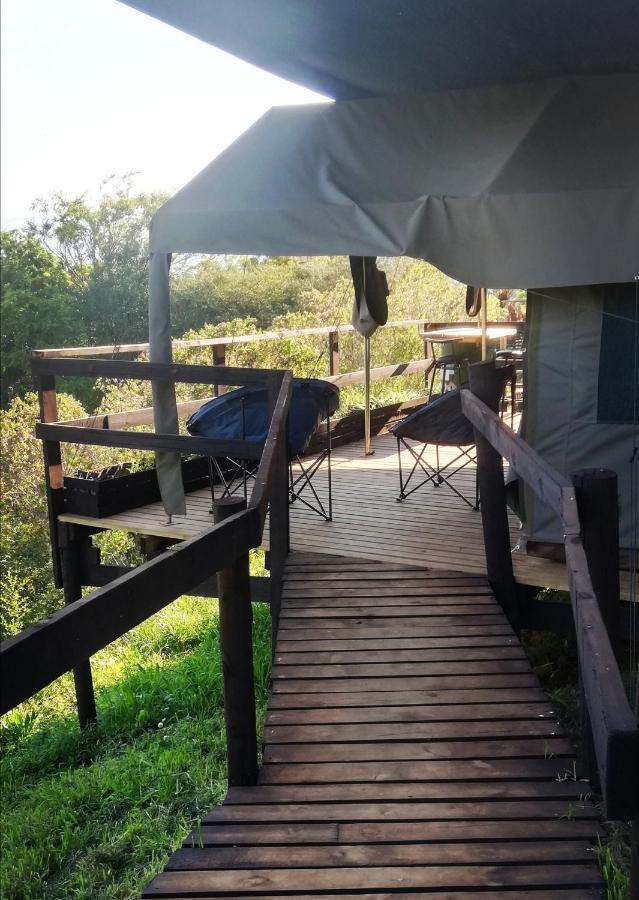 Chosen Glamping Tents Граскоп Екстер'єр фото