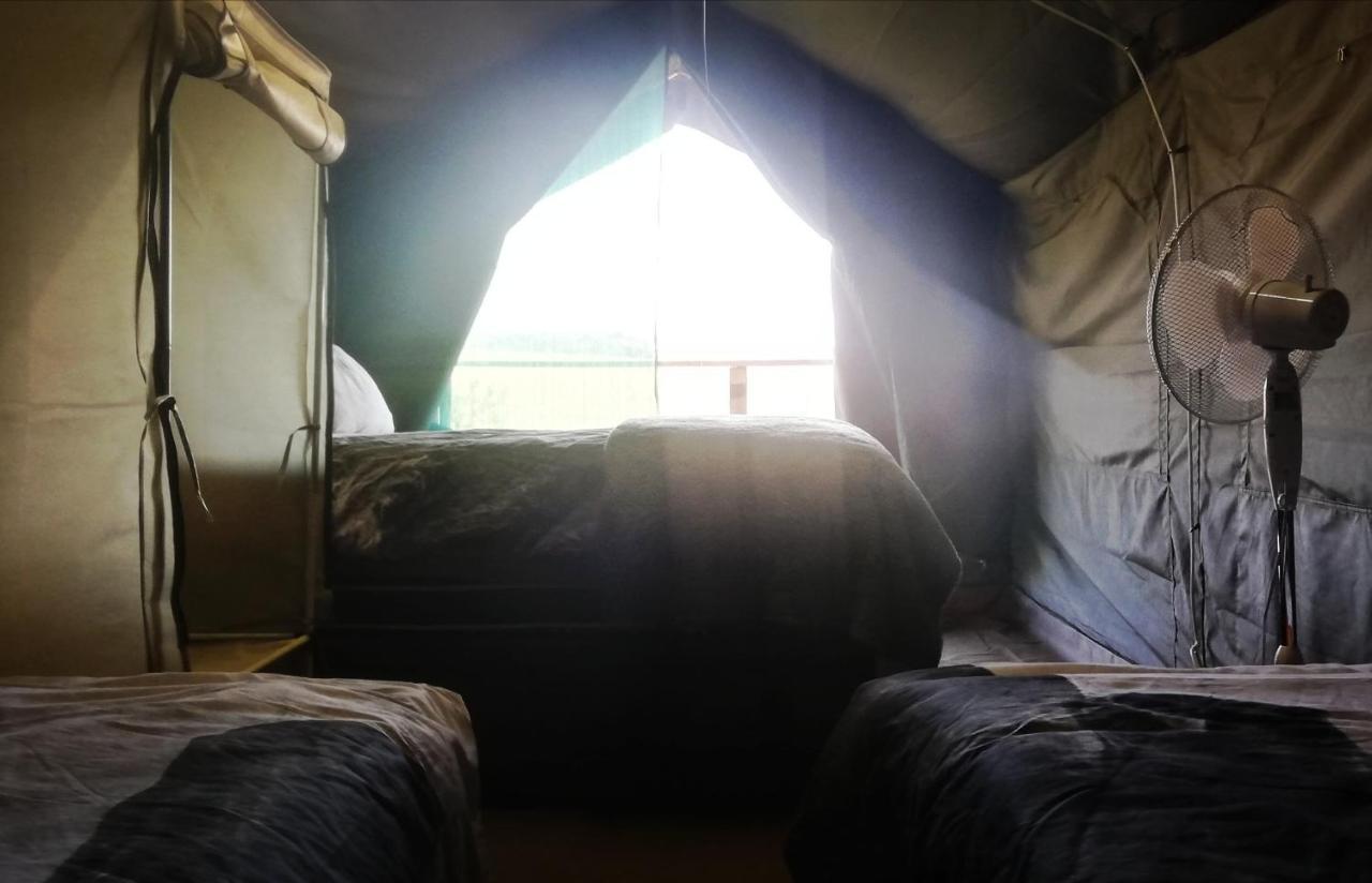 Chosen Glamping Tents Граскоп Екстер'єр фото