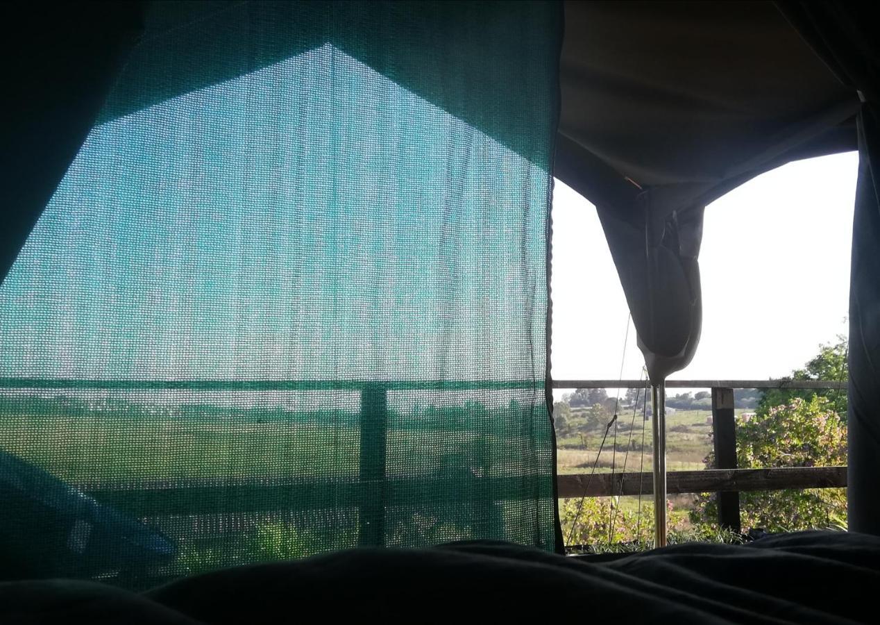 Chosen Glamping Tents Граскоп Екстер'єр фото